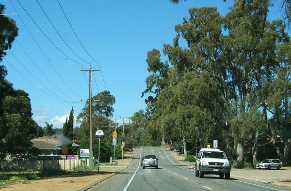 Singles in Aberfoyle Park: view of the city