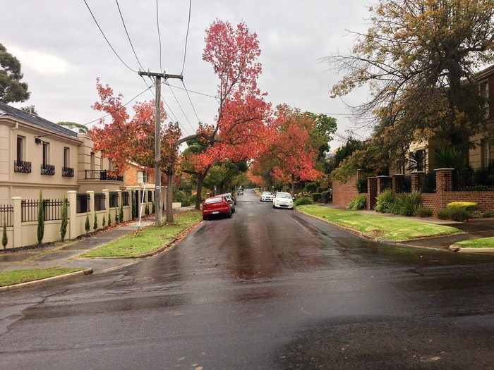 Singles in Balwyn North: view of the city