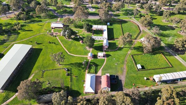 Singles in Bundoora: view of the city