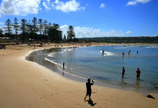 Singles in Dee Why: view of the city