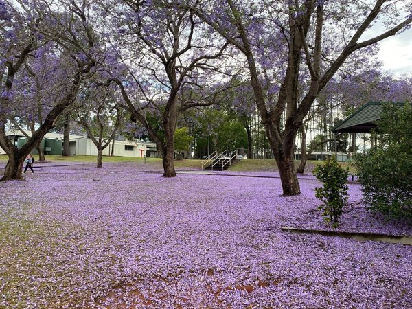 Singles in Eight Mile Plains: view of the city