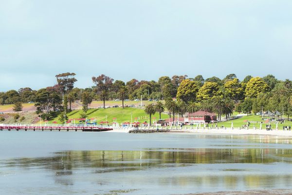 Singles in Geelong: view of the city