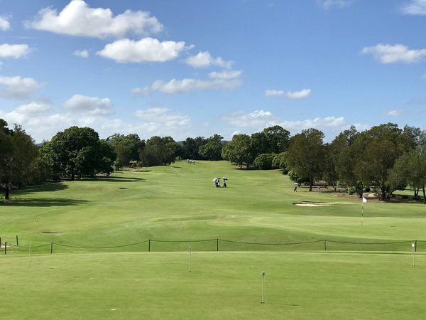 Singles in Indooroopilly: view of the city