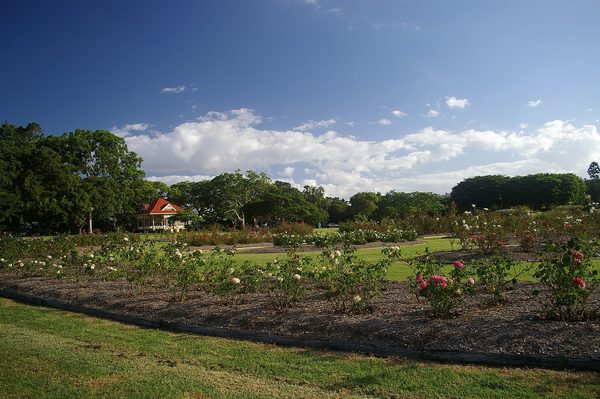 Singles in New Farm: view of the city