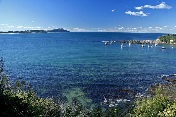 Singles in Terrigal: view of the city