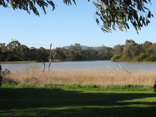 Singles in Wheelers Hill: view of the city