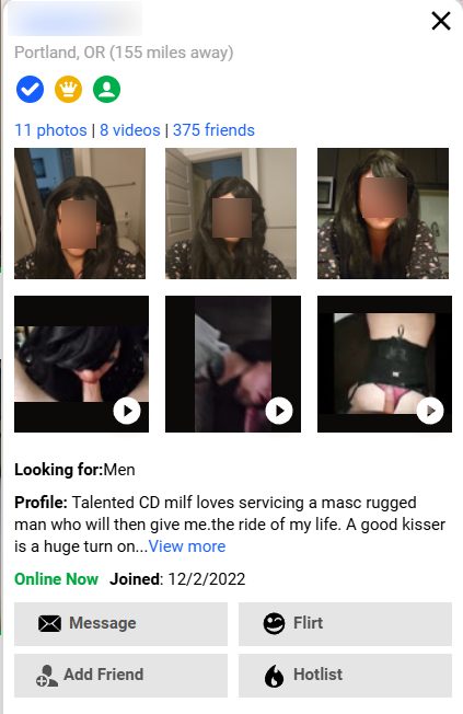 adultfriendfinder-profile