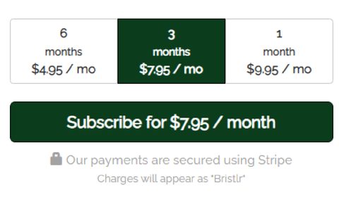 Screenshot of the Bristlr prices