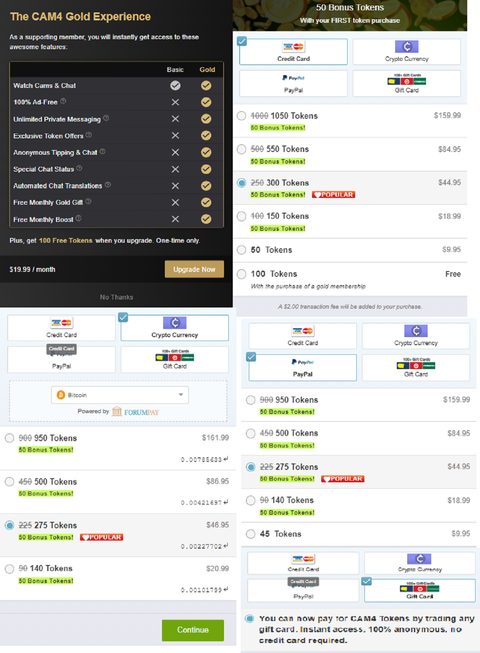 Screenshot of the CAM4 prices