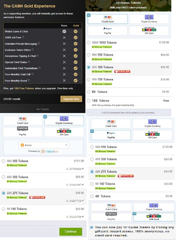 Screenshot of the CAM4 prices