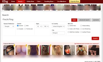 Screenshot of the Fling website