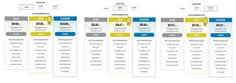 Screenshot of the GayMatchmaker prices