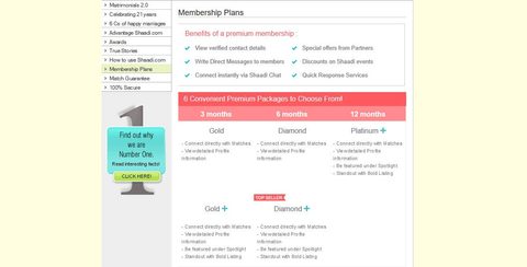 Screenshot of the Shaadi prices