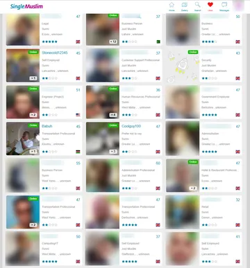 Screenshot of the Single Muslim website