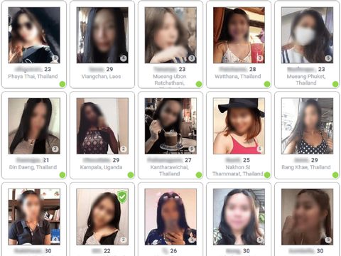 Thai Cupid Members