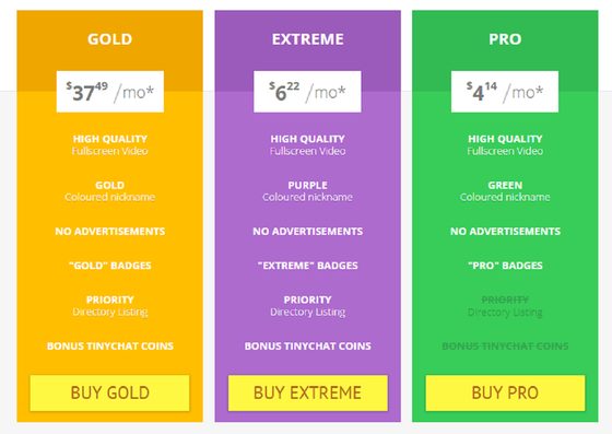 Screenshot of the Tinychat prices