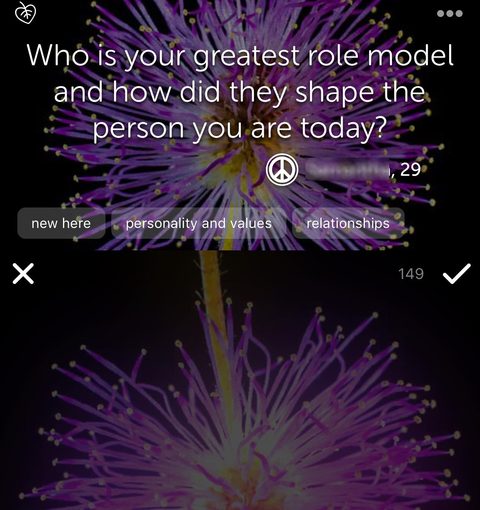 Willow Questions