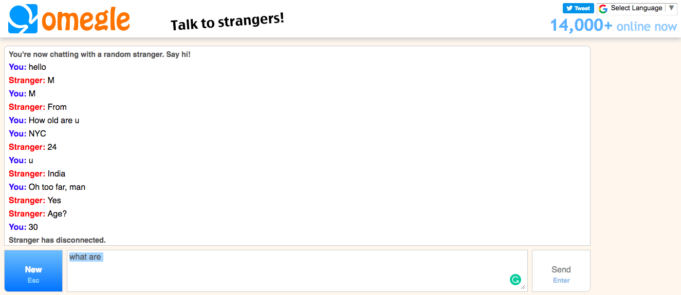 Omegle text chat Random Text
