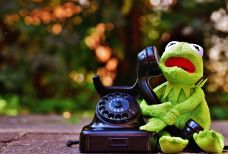 Kermit with phone