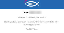 cdff-howitworks
