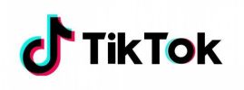 TikTok in Review