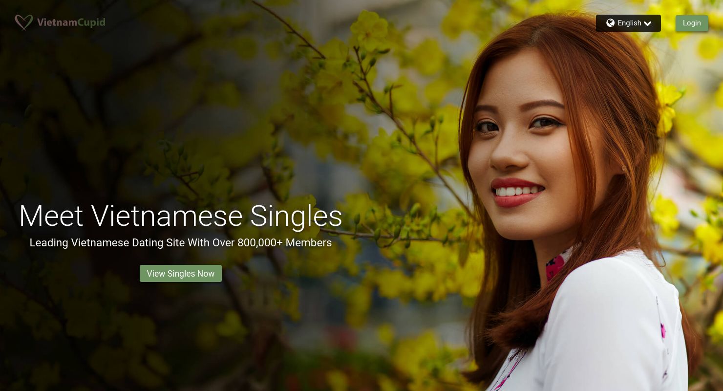 VietnamCupid Review April 2021 - Just Fakes or Real Dates.